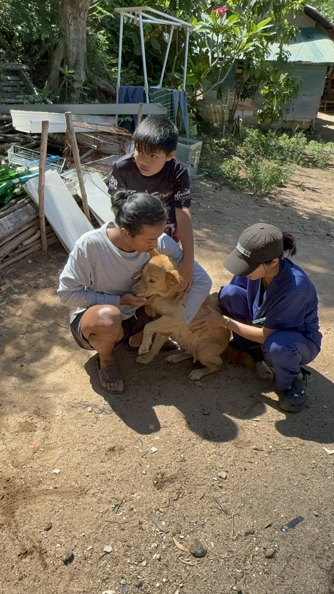 Niall Harbison tweet media