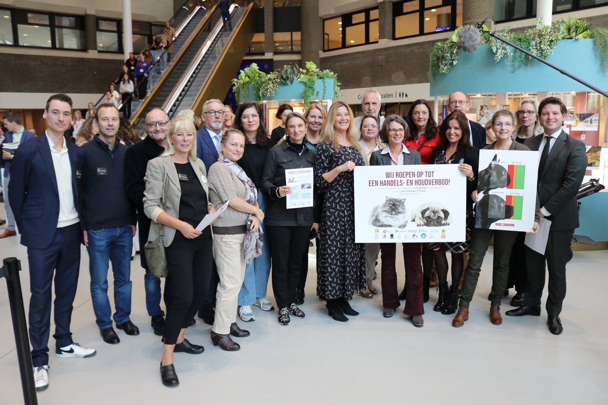 Geweldig! De Tweede Kamer heeft zojuist naar ons geluisterd en de motie om een handel- en houdverbod in te stellen voor dieren die niet gefokt mogen worden in Nederland AANGENOMEN! 🙏🥳 Dank <a href="/LNVTweedeKamer/">LNV Tweede Kamer</a> <a href="/stasLVVN/">Jean Rummenie</a> <a href="/realDionGraus/">Dion Graus</a> <a href="/InesKostic/">Ines Kostić #stemPvdD🌍</a>
