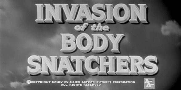 Jessica Strelioff tweet media