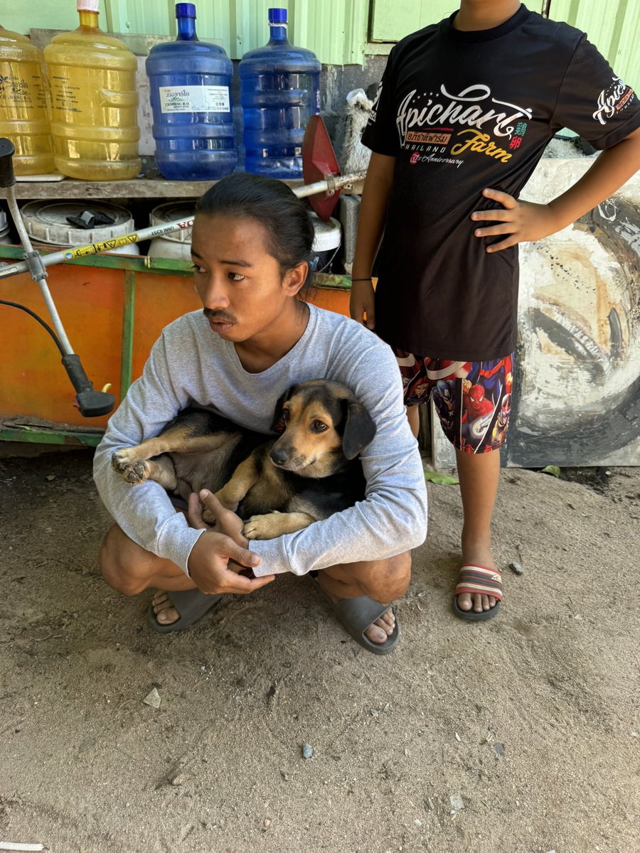 Niall Harbison tweet media