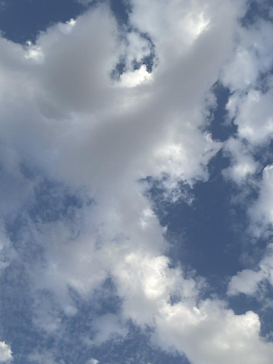 iSaRooNiii's tweet photo. وابتدا موسم الغيوم ☁️♥️ https://t.co/kY0EhCxQs4