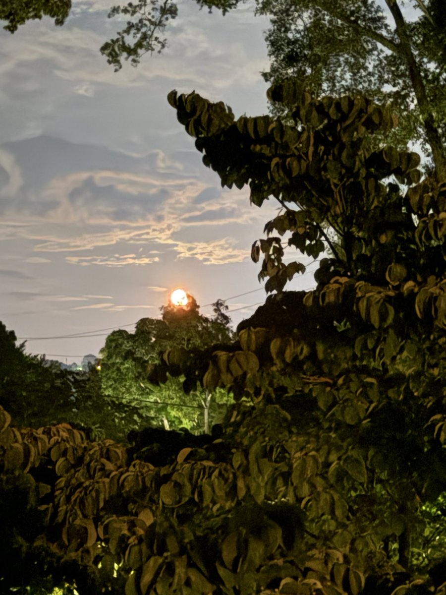 EM Templin - Novelist tweet media