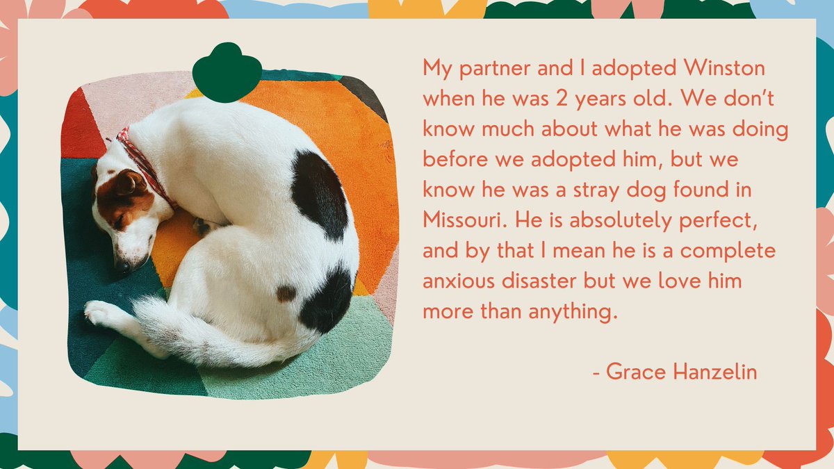 AP-LS Students tweet media