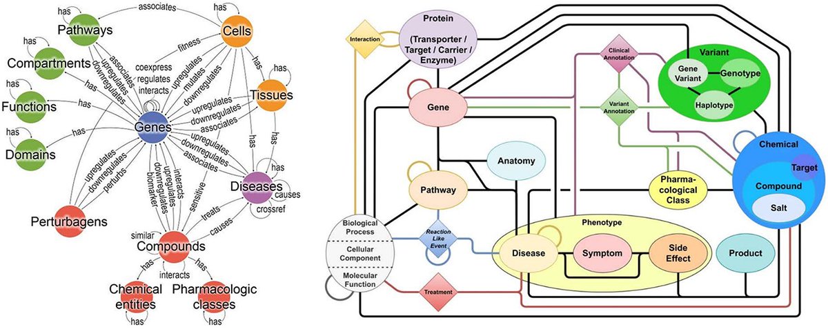 moorejh's tweet image. Knowledge Graphs for drug repurposing: a review of databases &amp;amp; methods  academic.oup.com/bib/article/25… #bioinformatics #pharmacology #knowledgegraphs