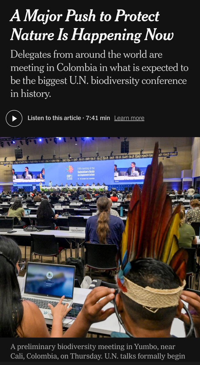 El New York Times afirma que la COP 16 en Cali se perfila como la mayor cumbre de su tipo en la historia. 🌍. No es cualquier cosa lo que está pasando.