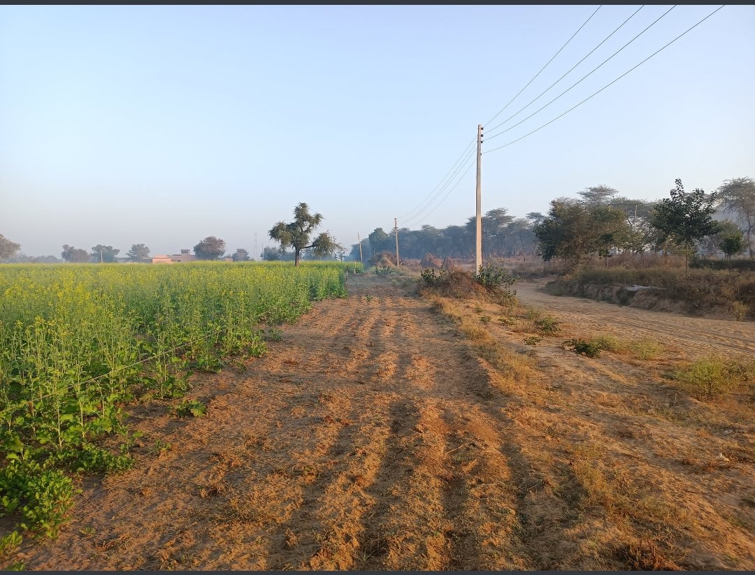 हमने बिना किसी सरकारी सहायता के गांव के अंदर एक भव्य सभी सुविधाओं से युक्त खेल मैदान में रनिंग ट्रैक पर बिजली के तार है जो 2 बार टूट भी चुके, जो कभी अनहोनी बन सकते हैं। बिजली विभाग इन्हे शिफ्ट करने के लिए पैसे भरवाने की बात कर रहा है।
<a href="/cmohry/">CMO Haryana</a> <a href="/anilvijminister/">Anil Vij Ambala Cantt Haryana, India</a>
मोबाइल - 8053726007