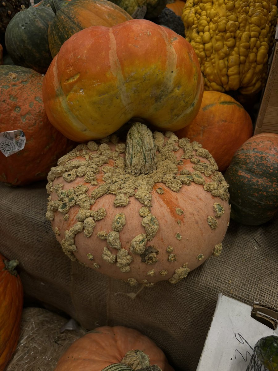 Edén tweet media