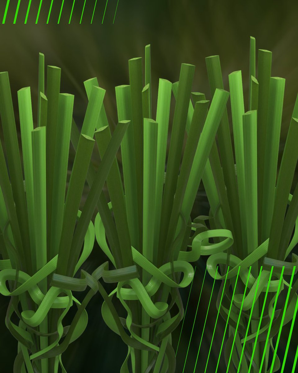 ‘Edel Twinblade’ Designed for Mineral Performance! As seen at <a href="/afcijburg/">AFC IJburg</a>, Edel Twinblade’s design keeps sand stable and hidden, ensuring top-tier play while reducing reliance on synthetic alternatives. An eco-friendly choice for clubs aiming for quality! #EdelTwinblade