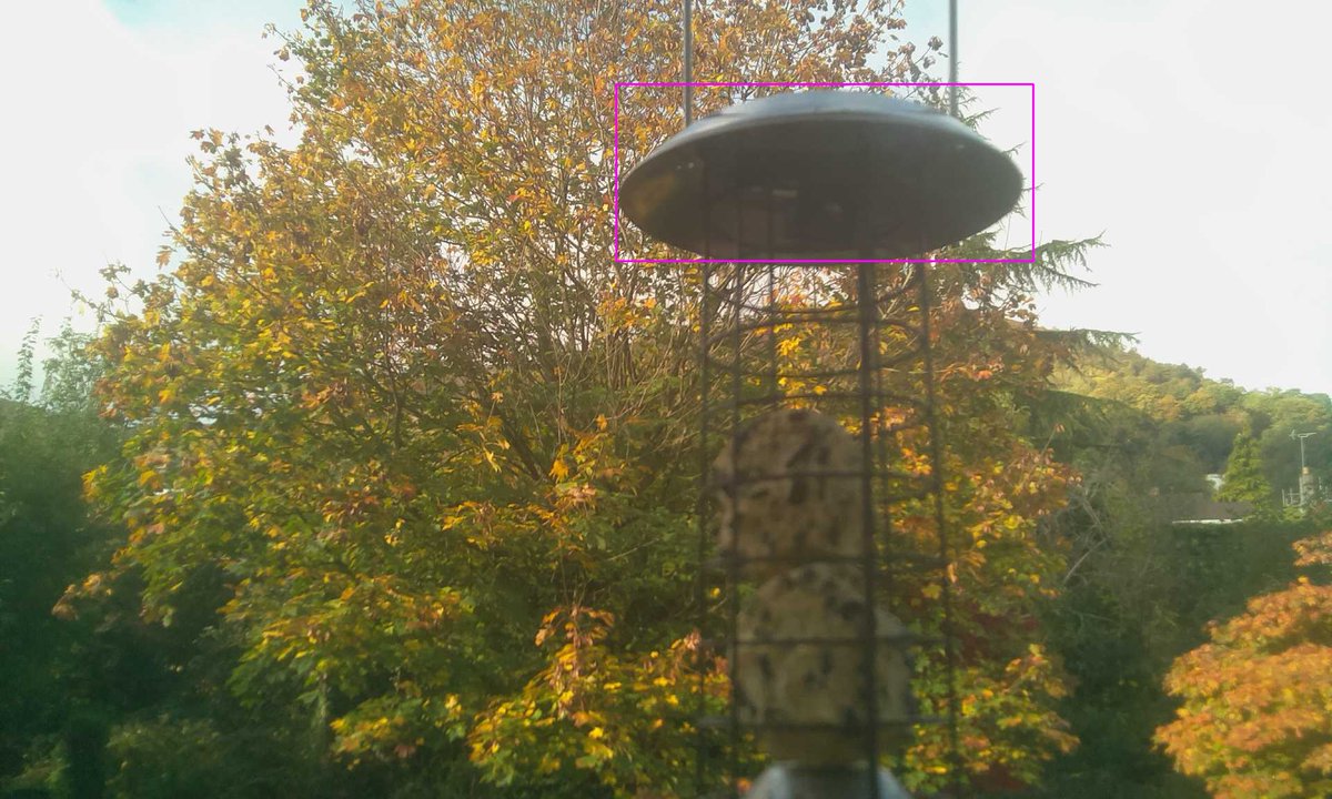 I saw 4 BlueTits. #birdbot 🐦
