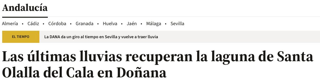 OxyuranusHXC's tweet photo. En Doñana, hay quien ve agua, pero no la vida que contiene. 
Para llamar la atención de los medios ha sido necesario lo nunca antes ocurrido; la desecación de su última laguna permanente.
Pero llevaba muerta desde junio. Aunque haya quién diga que la laguna "se recupera".

Va 🧵 https://t.co/47N8f3RlfV