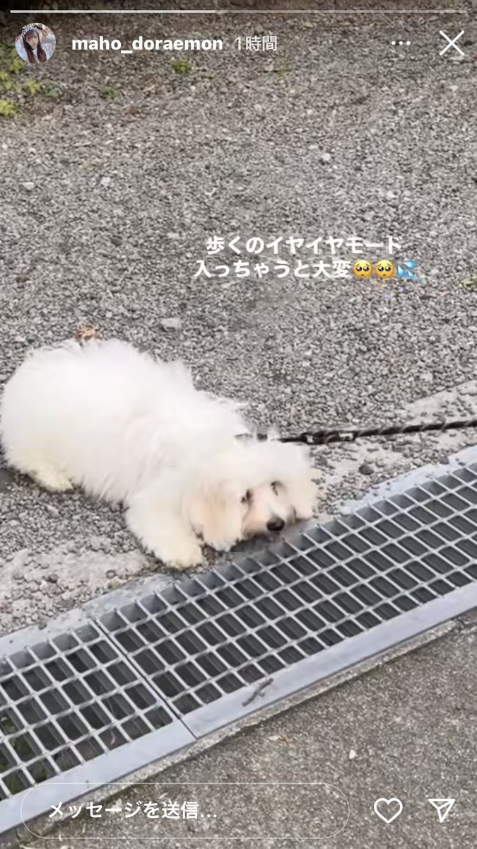 絵文字のバリエーション少なっwww