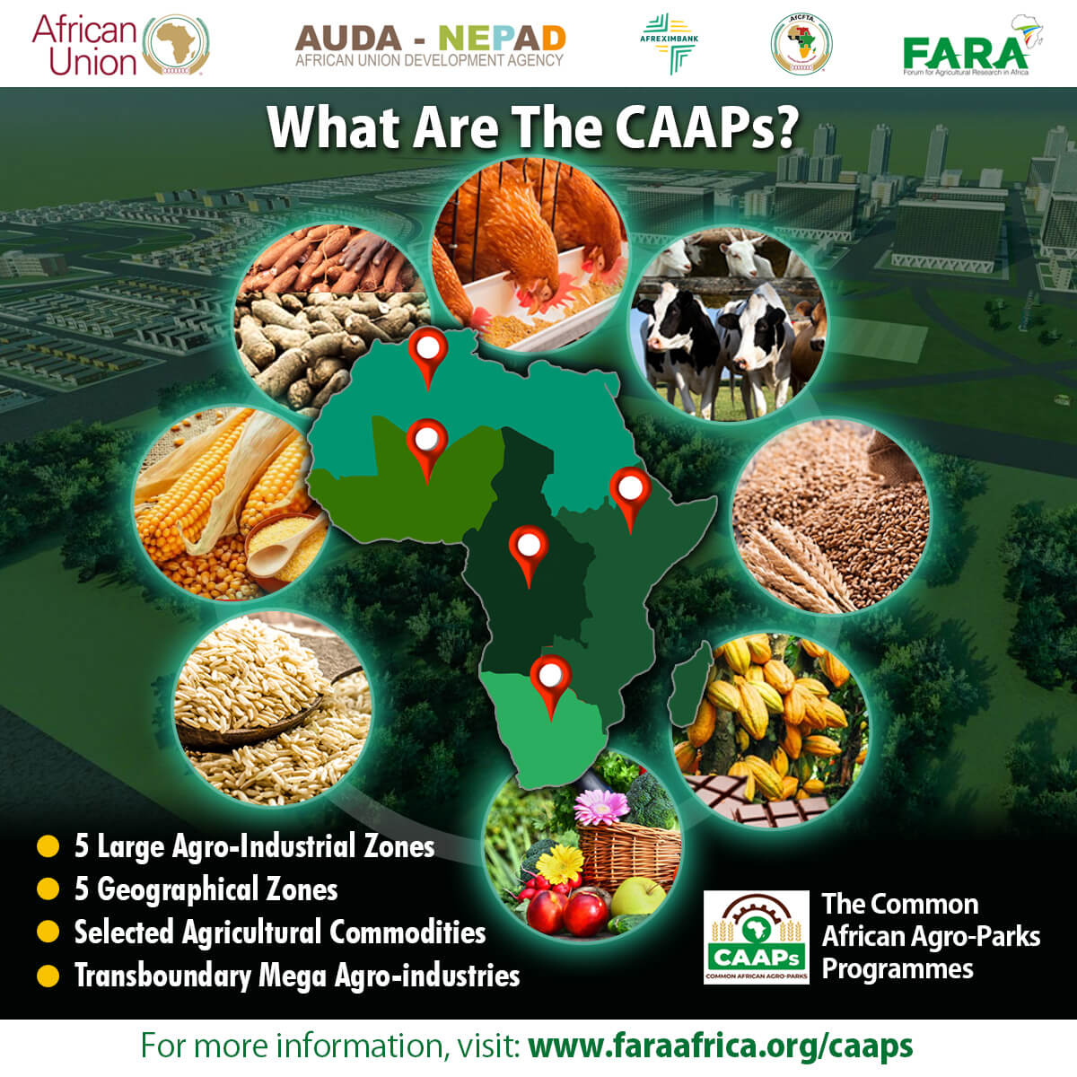 FARAinfo's tweet photo. The Common African Agro-Parks #CAAPs consist of 5 agro-industrial zones across Africa, focusing on key crops and building food supply corridors.

By boosting production, #CAAPs aim to reduce Africa’s reliance on imports.

visit🔗 https://t.co/t8zurxDeAz for more on #CAAPs https://t.co/MMCL31TdfU