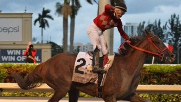 blindadosalas1's tweet photo. #Hipismo #CrónicasDelClásicoDelCaribe El 09/12/2017 JALA JALA 🇲🇽 con el astro IRAD ORTIZ JR. 🇵🇷 fue un vendaval en #GulfstreamPark 🇺🇸 y se llevó el primer #ClásicoDelCaribe fuera del área caribeña. Séptima yegua ganadora en la historia. Los #Manitos (12) igualaban a #Venezuela https://t.co/uJC4b3ces2