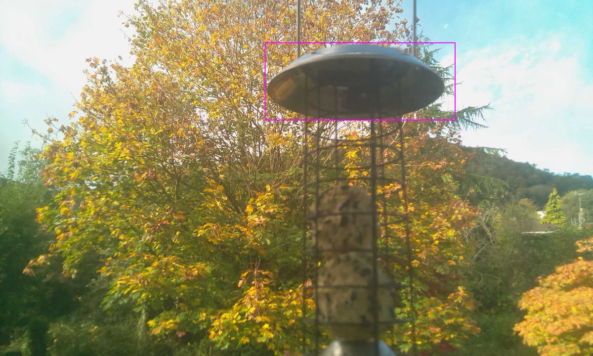 I saw 1 BlueTit. #birdbot 🐦