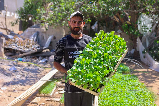 Helios_EM's tweet photo. El ejército de Israel ha asesinado a Yousef Abu Rabee y dos compañeros suyos mientras repartían plantones a sus vecinos en el norte de Gaza. 

Yousef era un agricultor que promovía la autonomía y soberanía alimentaria contra el hambre en mitad de los bombardeos. https://t.co/R7O5qZY92Q