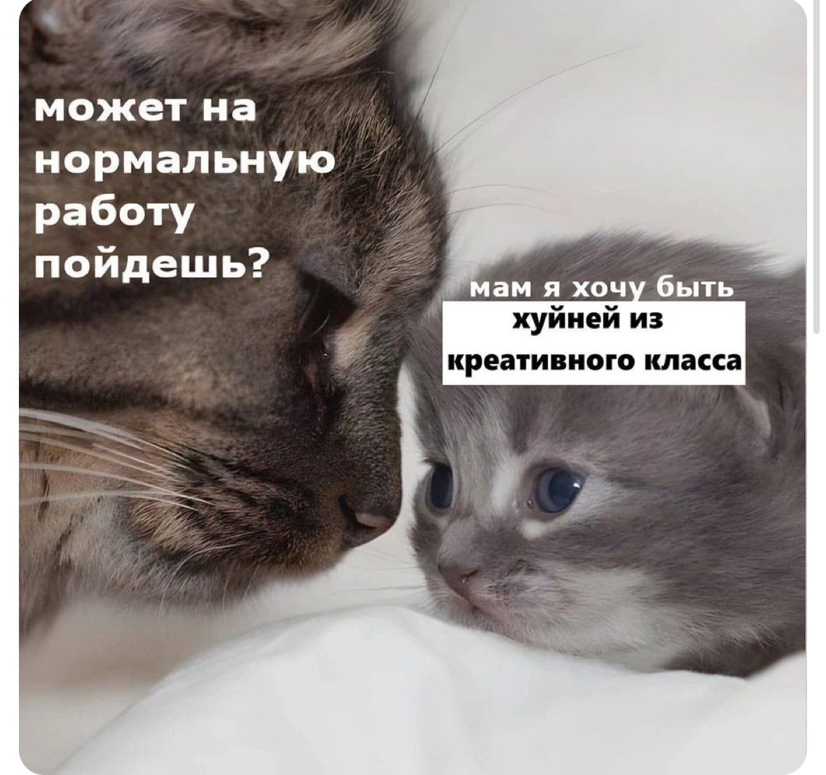 Алиса tweet media