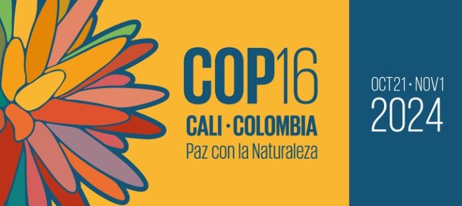 Fondation de la Mer (@fondationmer) on Twitter photo 🎯Deux COP en quelques jours, c'est ce qui se passe en ce moment.
La #COP16 sur la biodiversité a débuté lundi en Colombie, elle sera suivie par la #COP29 sur le climat le 11 novembre.
🌊Deux sujets intrinsèquement liés, où l'Océan joue un rôle majeur.
👉fondationdelamer.org/nos-actualites… 🎯Deux COP en quelques jours, c'est ce qui se passe en ce moment.
La #COP16 sur la biodiversité a débuté lundi en Colombie, elle sera suivie par la #COP29 sur le climat le 11 novembre.
🌊Deux sujets intrinsèquement liés, où l'Océan joue un rôle majeur.
👉fondationdelamer.org/nos-actualites…