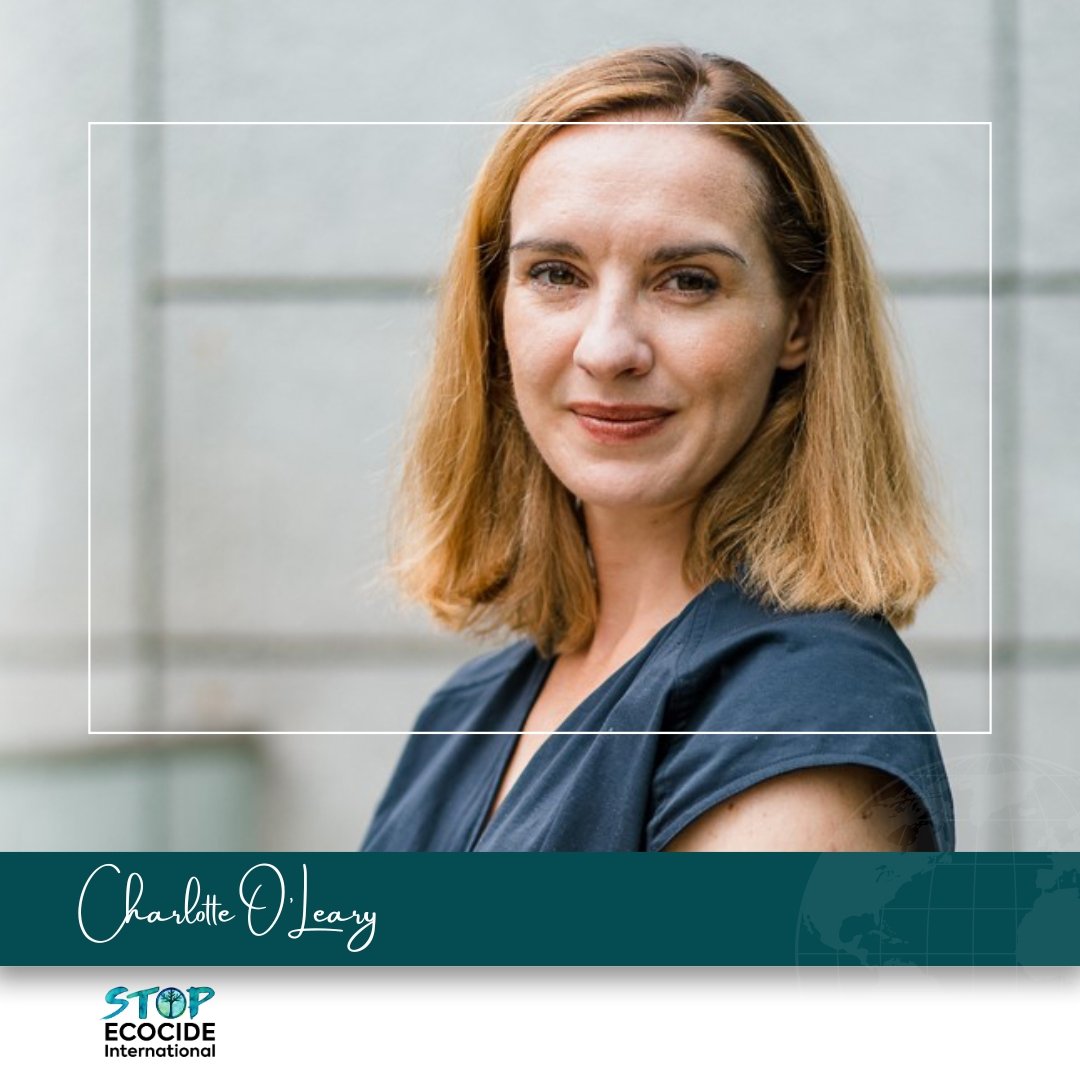 #Ecocidelaw "would turbo-charge green innovation, redirect investment away from harmful practices + help bridge the gap between env. protection &amp; economic development."

- Charlotte O'Leary - CEO, <a href="/Pension4Purpose/">Pensions for Purpose</a> 

READ full guest blog here: stopecocide.earth/guest-blog-202…

#StopEcocide
