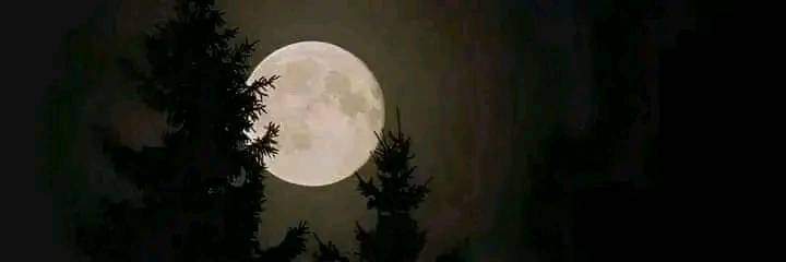 Syed_Talha_'s tweet photo. Moon made me realise, some things look beautiful from distance. 🖤 https://t.co/tN6toLLCh3
