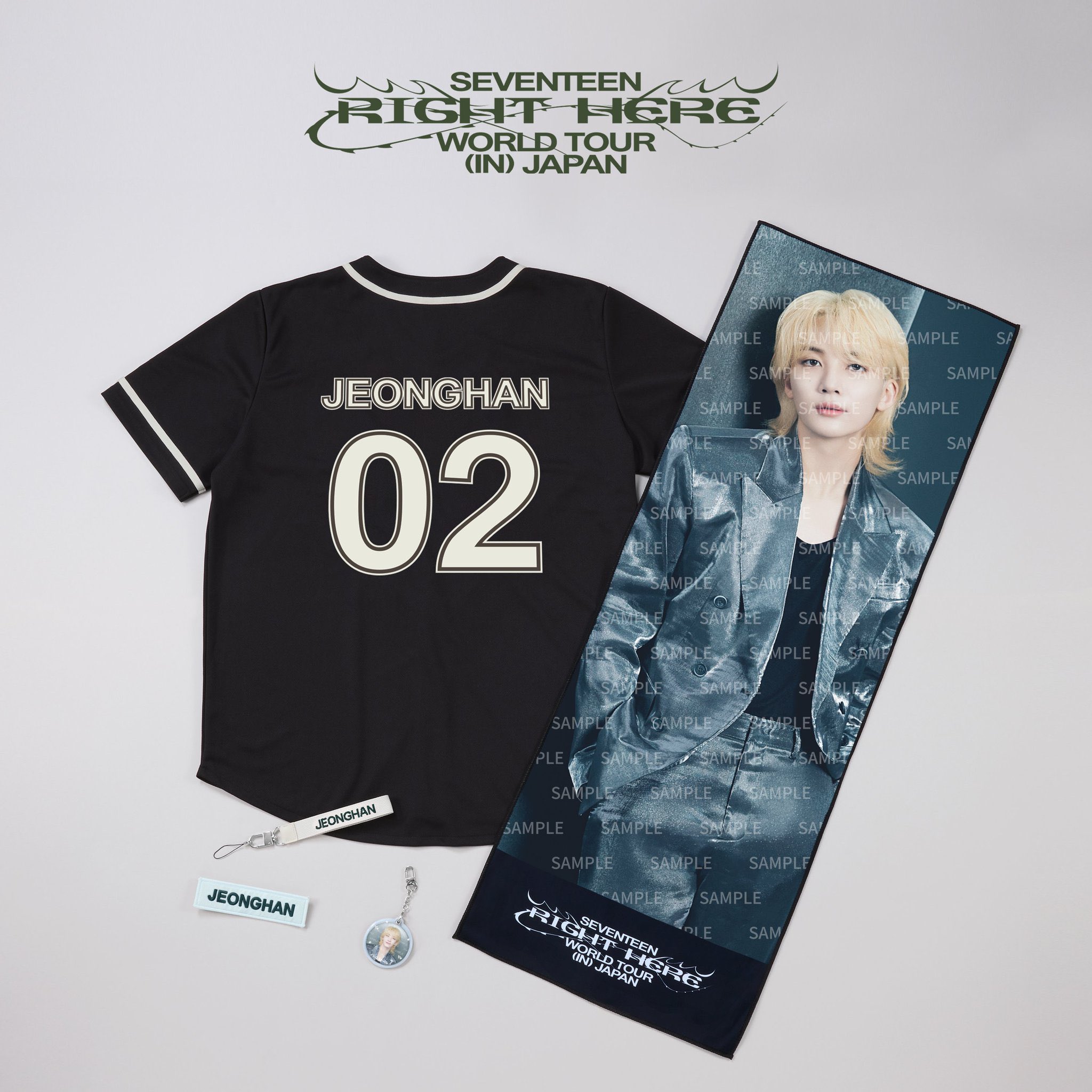 完全新品 SEVENTEEN RIGHT HERE ビッグタオル ウォヌ アイドル