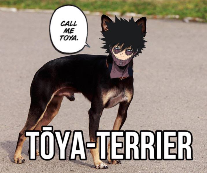 dotG1's tweet photo. Я пришел высыпать свои дурацкие мемы и снова скрыться в тумане. 
#dabi #bnha #toya https://t.co/w2mFVIauRY