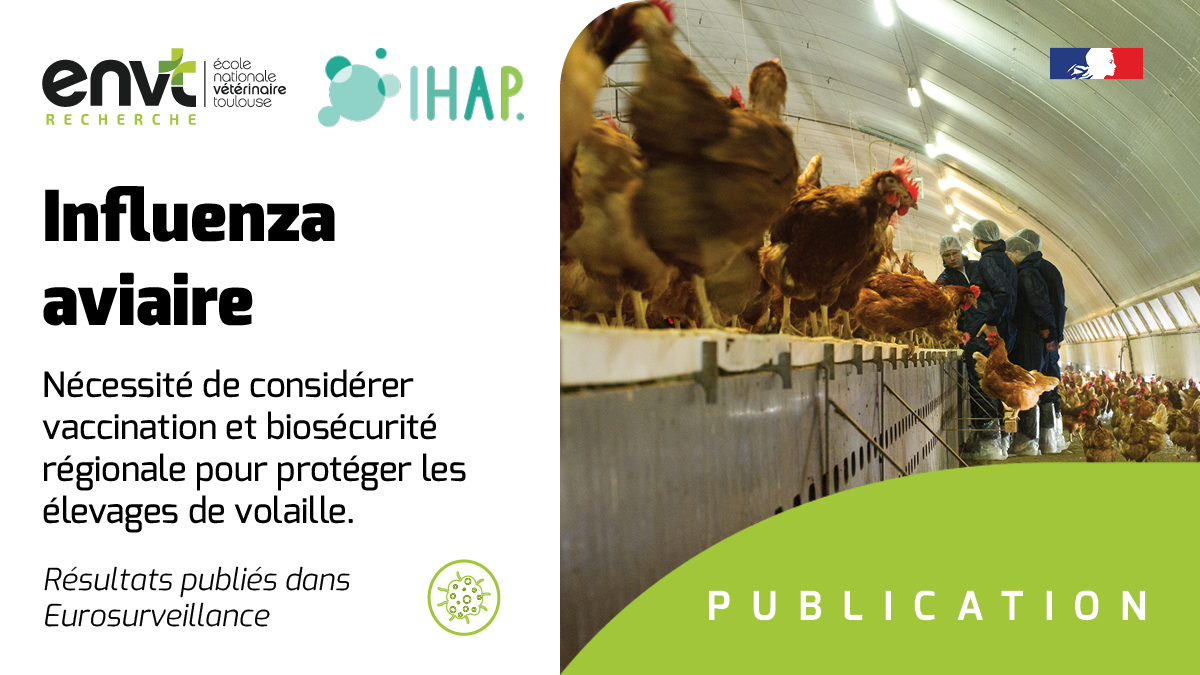 Ecole Nationale Vétérinaire de Toulouse (@env_toulouse) on Twitter photo COMMUNIQUÉ PRESSE - Des scientifiques d’@IHAP (<a href="/INRAE_Tlse/">INRAE Occitanie-Toulouse</a> /ENVT) s’appuient sur l’expérience des dernières épidémies d’influenza aviaire en Europe pour souligner la nécessité de repenser les stratégies de gestion en élevage.
➡️ infos : lc.cx/PginRT
<a href="/Eurosurveillanc/">Eurosurveillance</a> COMMUNIQUÉ PRESSE - Des scientifiques d’@IHAP (<a href="/INRAE_Tlse/">INRAE Occitanie-Toulouse</a> /ENVT) s’appuient sur l’expérience des dernières épidémies d’influenza aviaire en Europe pour souligner la nécessité de repenser les stratégies de gestion en élevage.
➡️ infos : lc.cx/PginRT
<a href="/Eurosurveillanc/">Eurosurveillance</a>