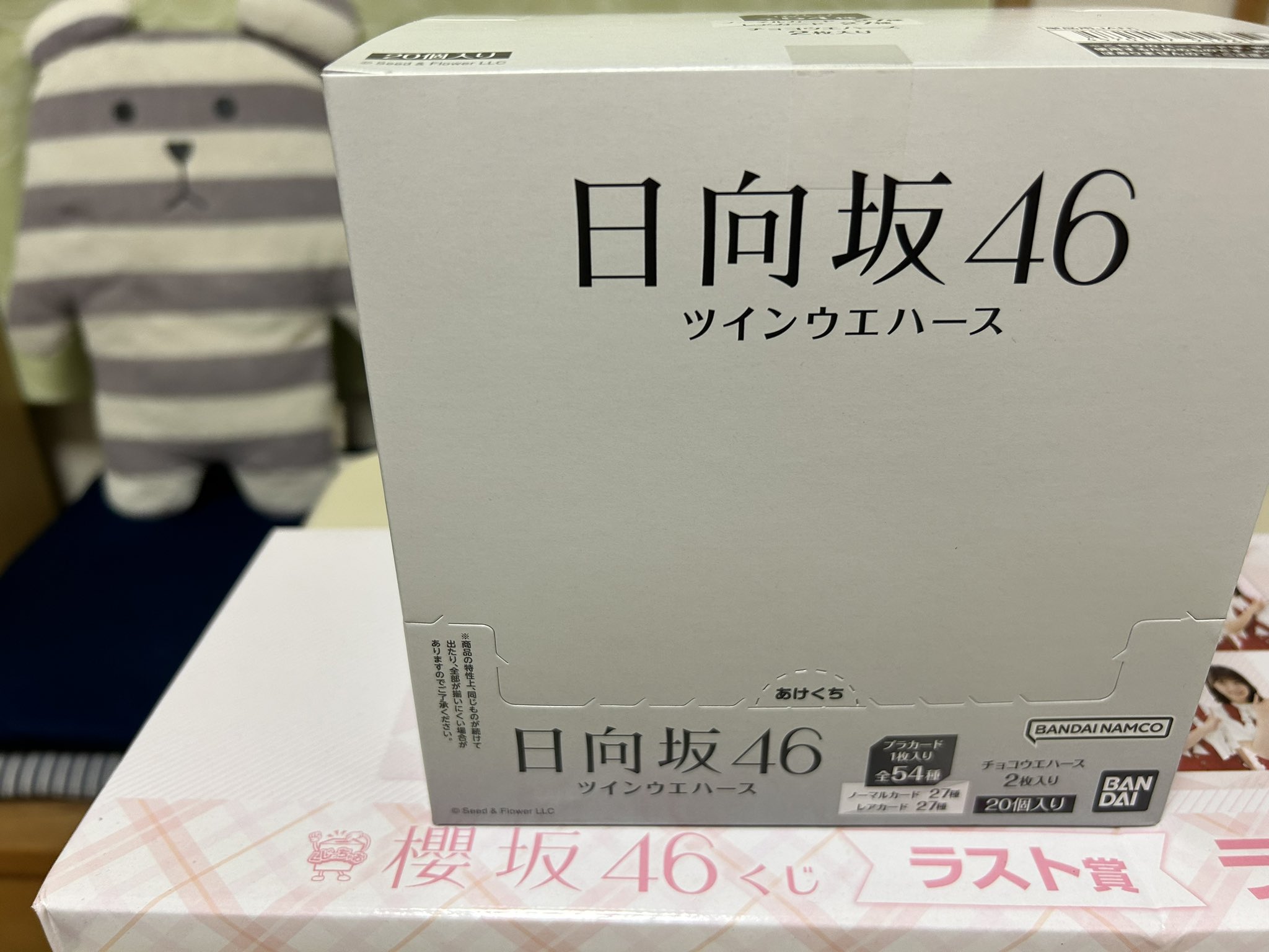 櫻坂46くじ　ロット 櫻坂46くじロット