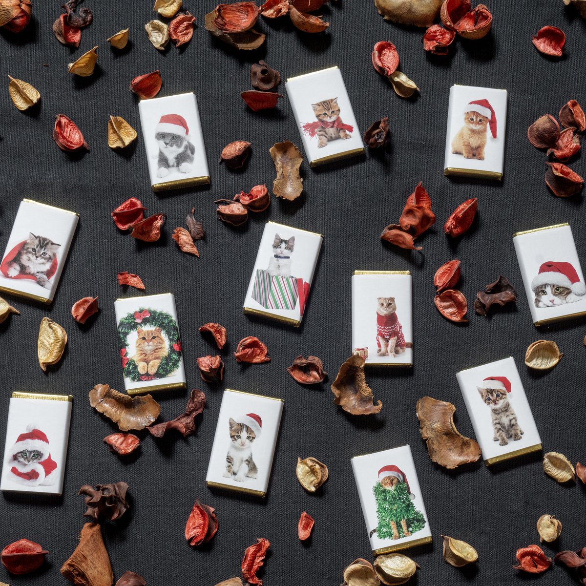 For the cat lovers in your life, our Christmas Cats in Hats Milk Chocolate Slims are the perfect choice. 12 individually wrapped milk chocolate slims depicting adorable cats. Cuteness overload!

Available online at houseofdorchester.com.