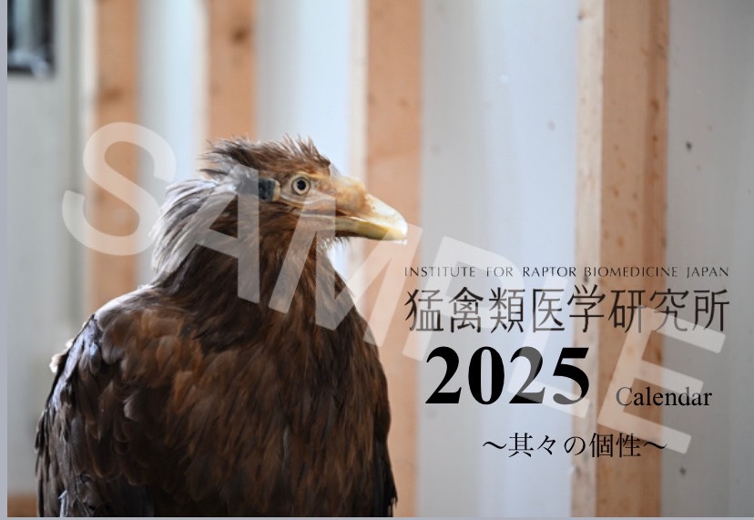 猛禽類医学研究所 齊藤慶輔 on X: 