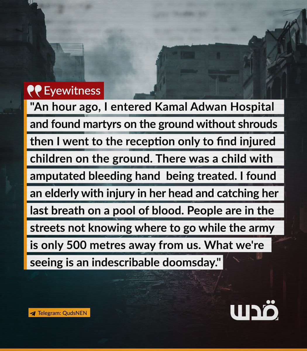 lisannagen's tweet image. #opentheborder @AlsisiOfficial