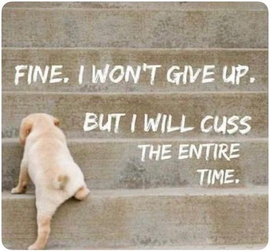 karrie_joy's tweet photo. Heavy leg day…..and arm day…..basically everything day! I love when I lift a weight and realize it’s too light!!!! 🏋🏼♀️💪🏻😊☕️
@mimikmorgan challenge done waiting for my coffee to brew! Happy Tuesday!! 💪🏻☕️
#5amcrew
#makeyourselfproud
#mimischallengeday2
#chooseyou
#choosehappy https://t.co/iecM4gQkVB