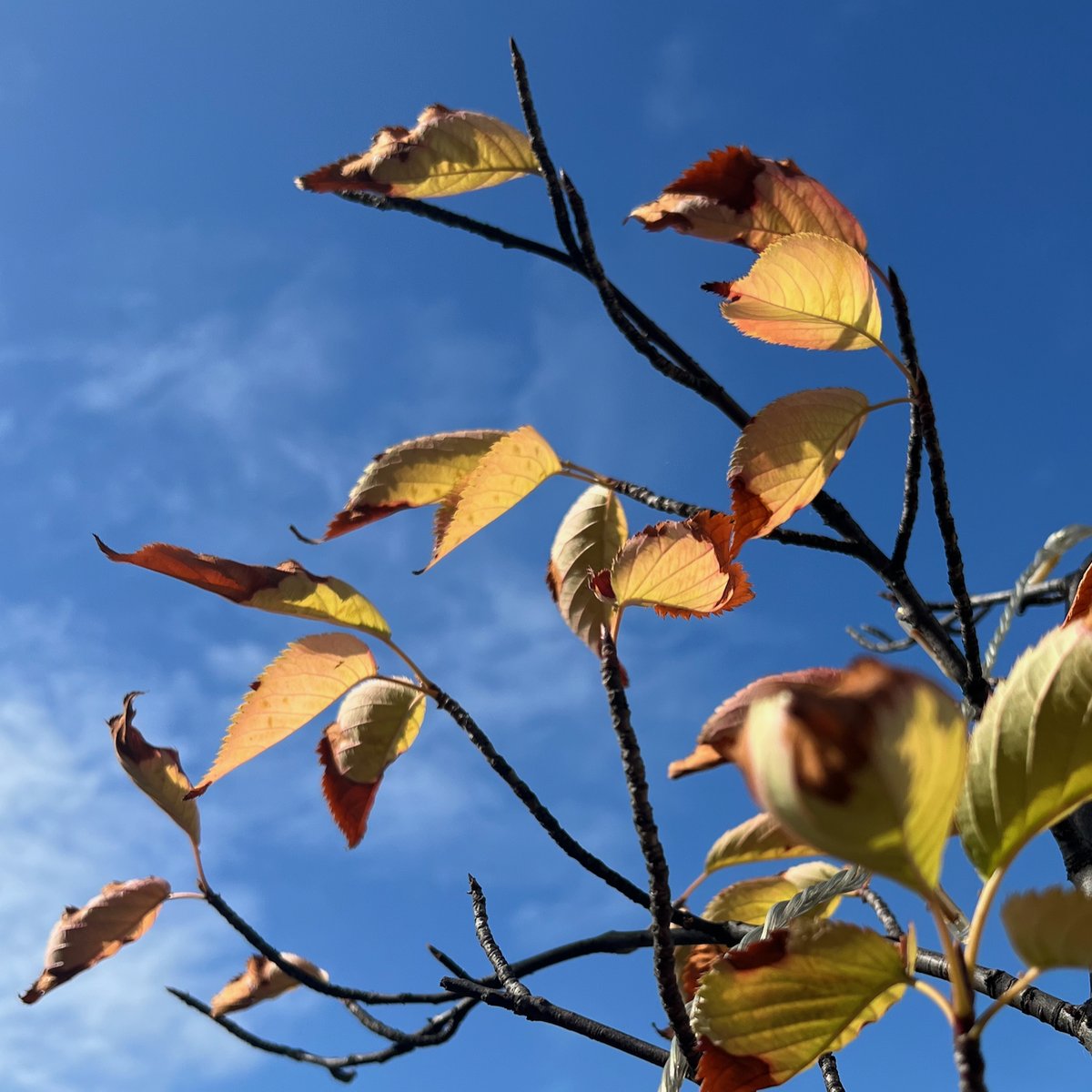 Guy Perryman tweet media