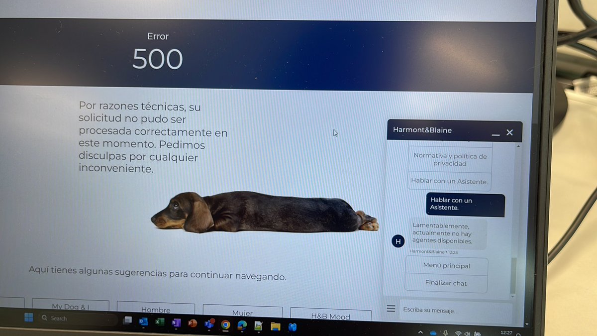 Fco_aguero's tweet photo. @Harmont_Blaine Hello, I can’t reset my password, and the agents aren’t available either. https://t.co/THa14IiFVQ