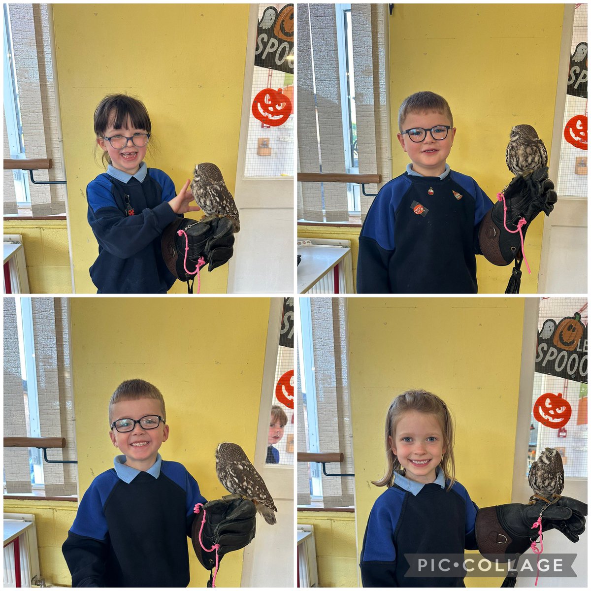 Hazel Ryan tweet media