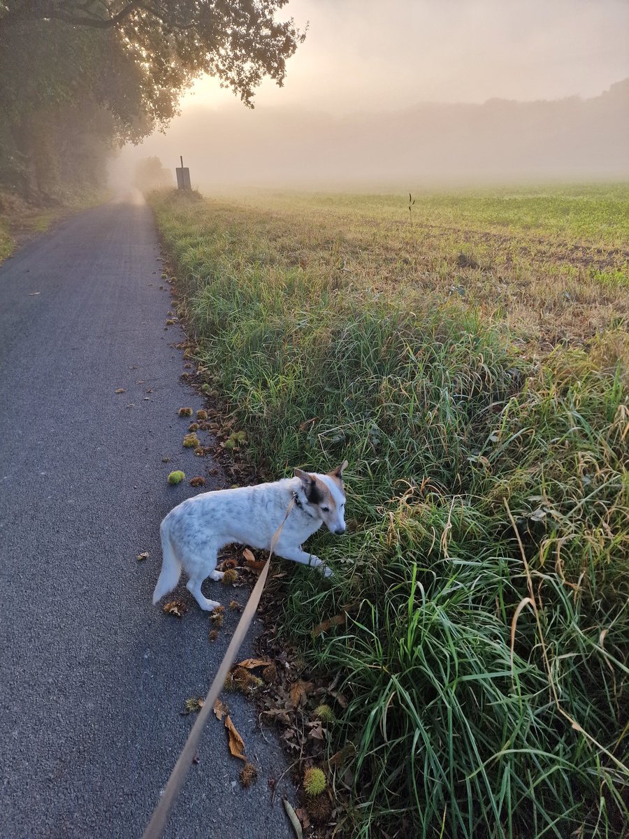 Marina Pepper tweet media