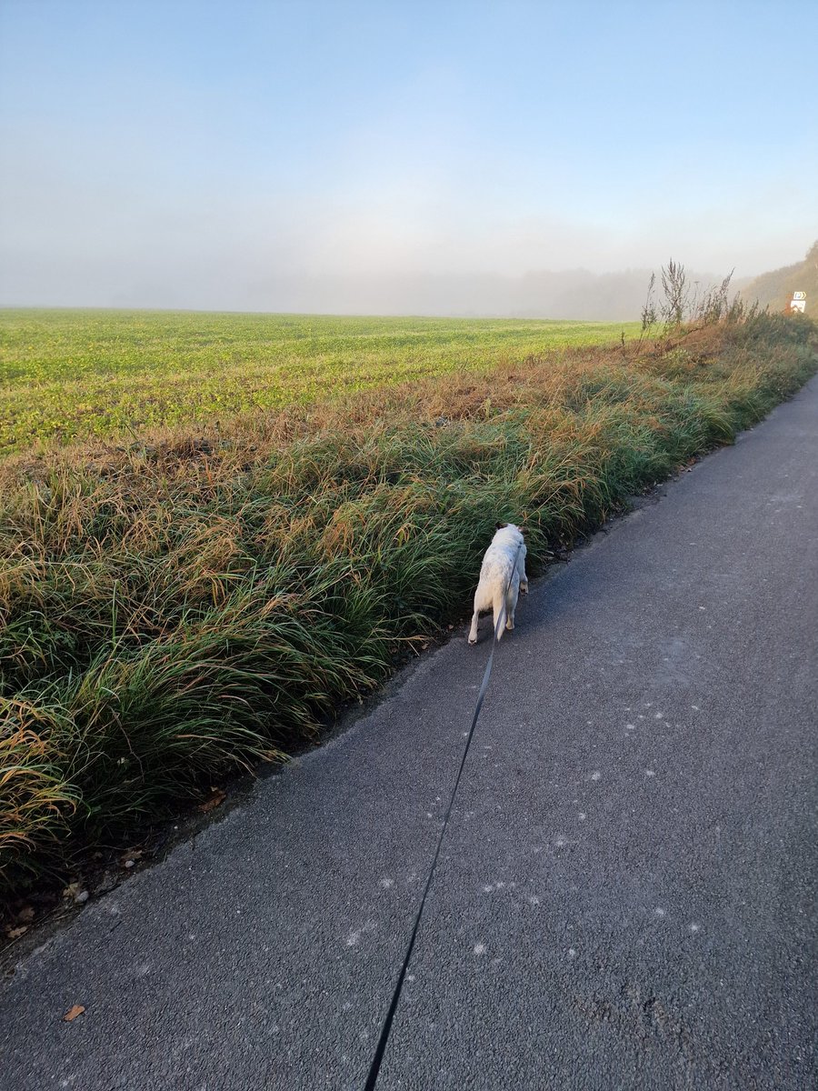 Marina Pepper tweet media