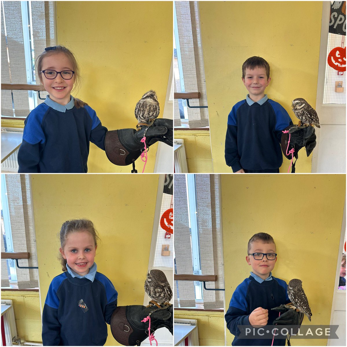 Hazel Ryan tweet media