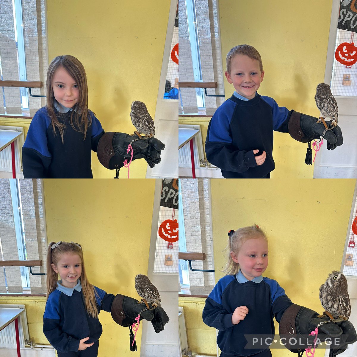 Hazel Ryan tweet media