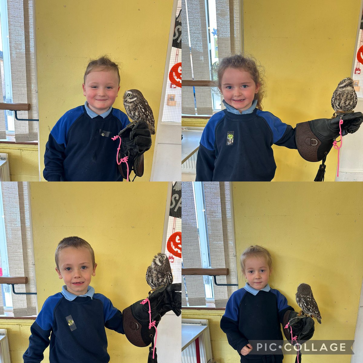 Hazel Ryan tweet media