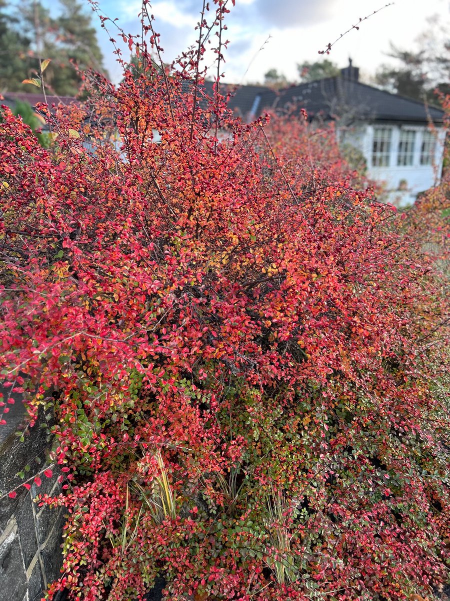 Abigail Lund tweet media