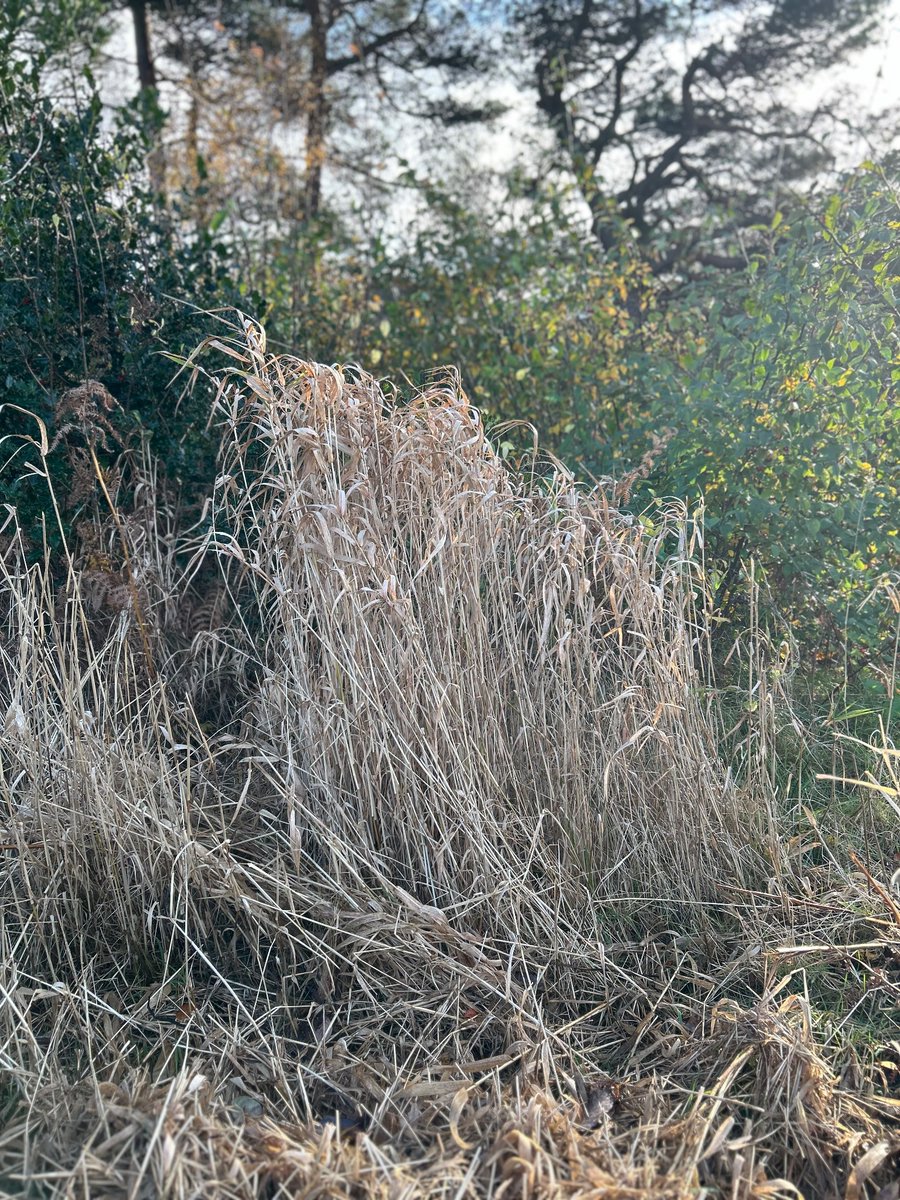 Abigail Lund tweet media