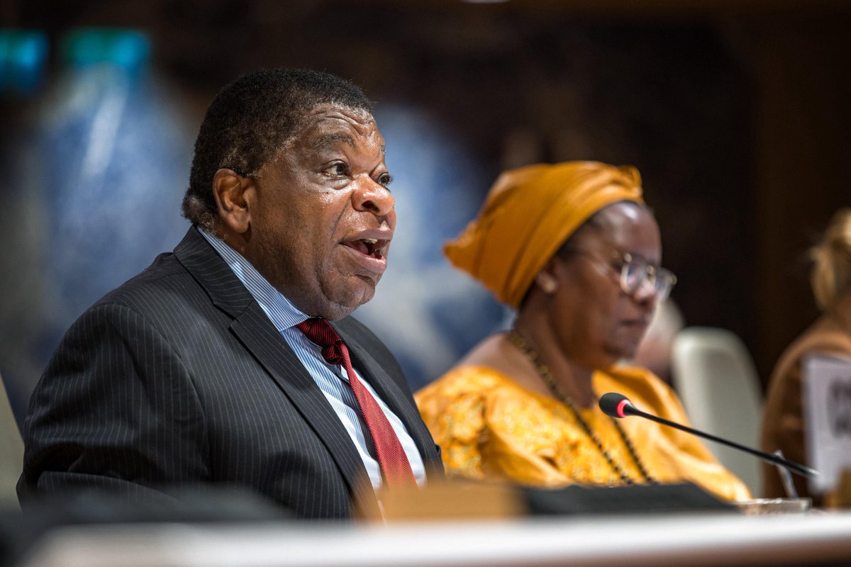 Tatiana MOLCEAN tweet media