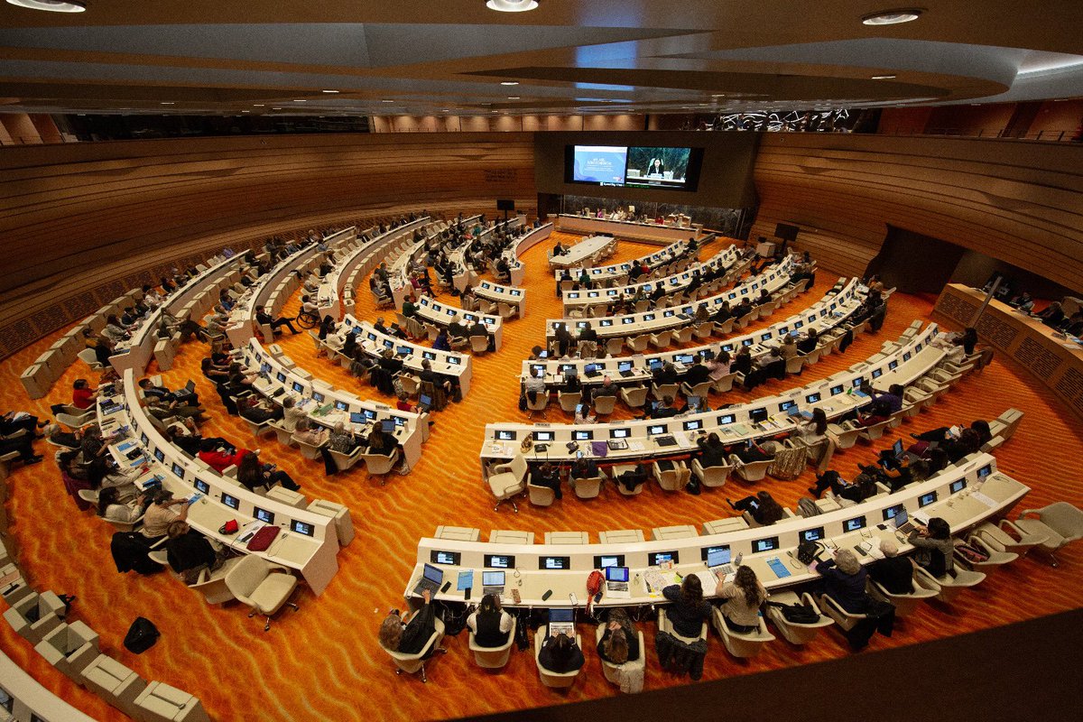 Tatiana MOLCEAN tweet media