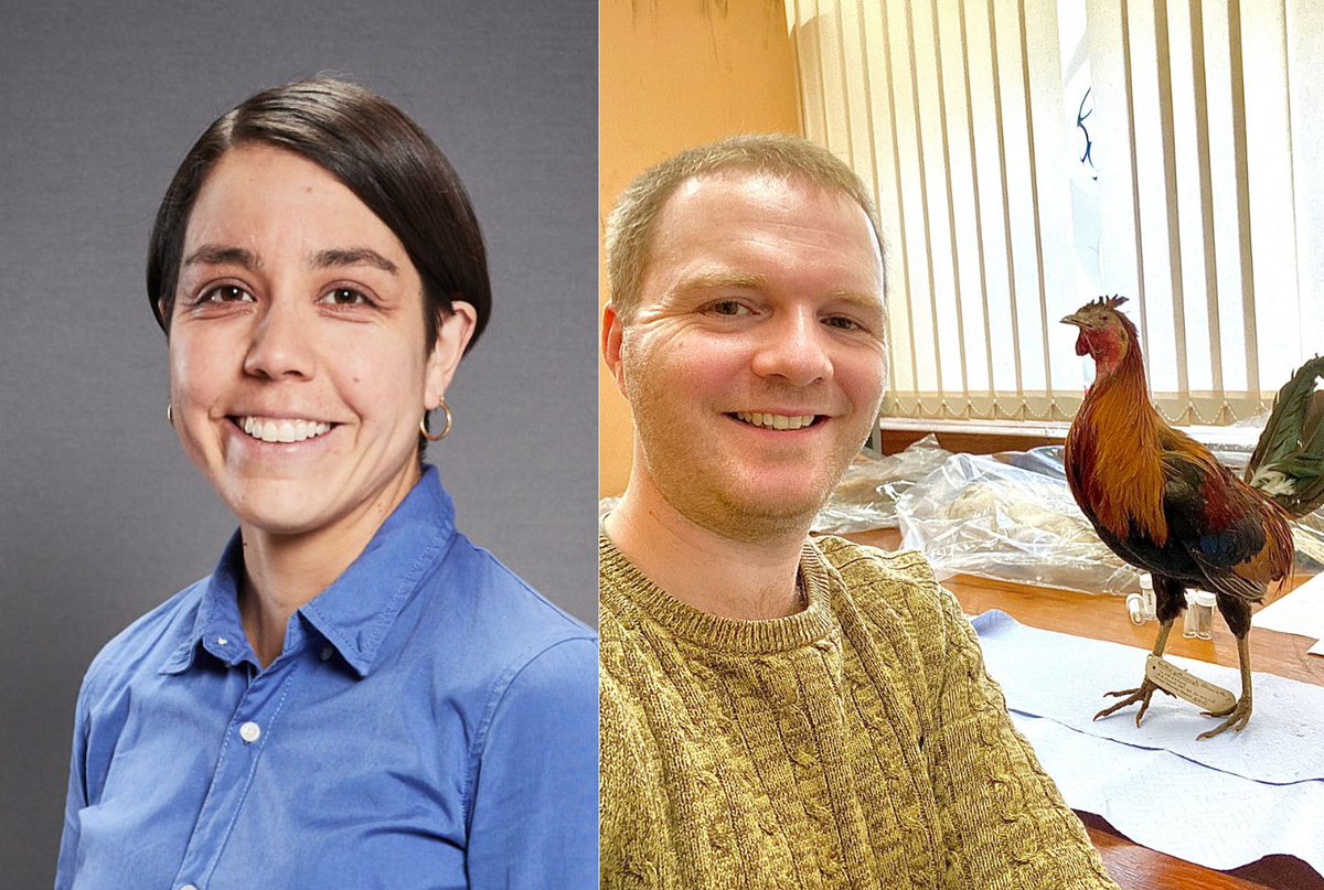 Pirbright_Inst's tweet photo. 📣 Pirbright appoints two new science leaders.

Congratulations to Dr Georgina Limon-Vega, promoted to Group Leader of Applied Epidemiology, and Dr Steven Fiddaman who is joining us as an Institute Fellow!

Read the story ➡️ https://t.co/Q33t6GE3p4 https://t.co/KJwqfzIpzp
