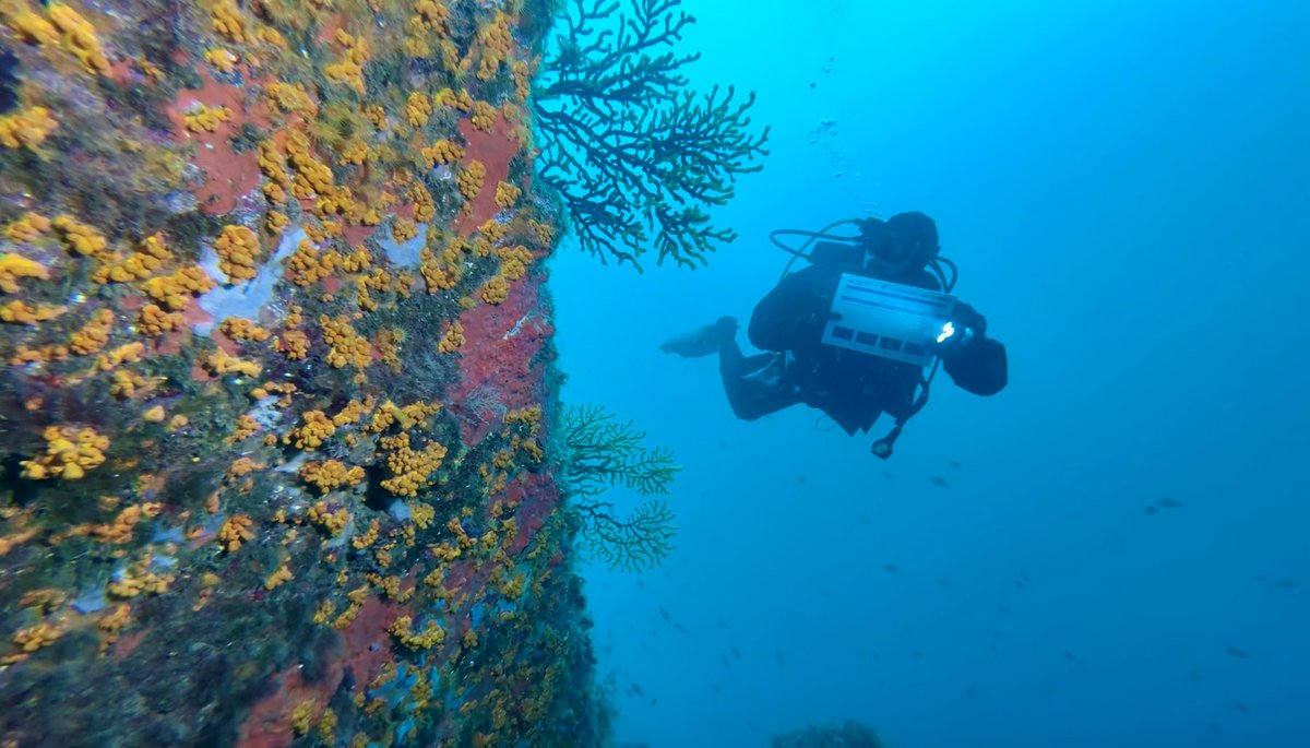 MPA4Change (@mpa4change) on Twitter photo Join OdM Climate led by <a href="/obsdelmar/">Observadores del Mar</a> and help monitor climate change in the Mediterranean! Dive to collect crucial data on marine biodiversity. 40+ dive centers, 400+ divers, are making the difference! OdM supports #MPA4Change to face #OceanWarming: bit.ly/3YwAvL4 #MPAs Join OdM Climate led by <a href="/obsdelmar/">Observadores del Mar</a> and help monitor climate change in the Mediterranean! Dive to collect crucial data on marine biodiversity. 40+ dive centers, 400+ divers, are making the difference! OdM supports #MPA4Change to face #OceanWarming: bit.ly/3YwAvL4 #MPAs