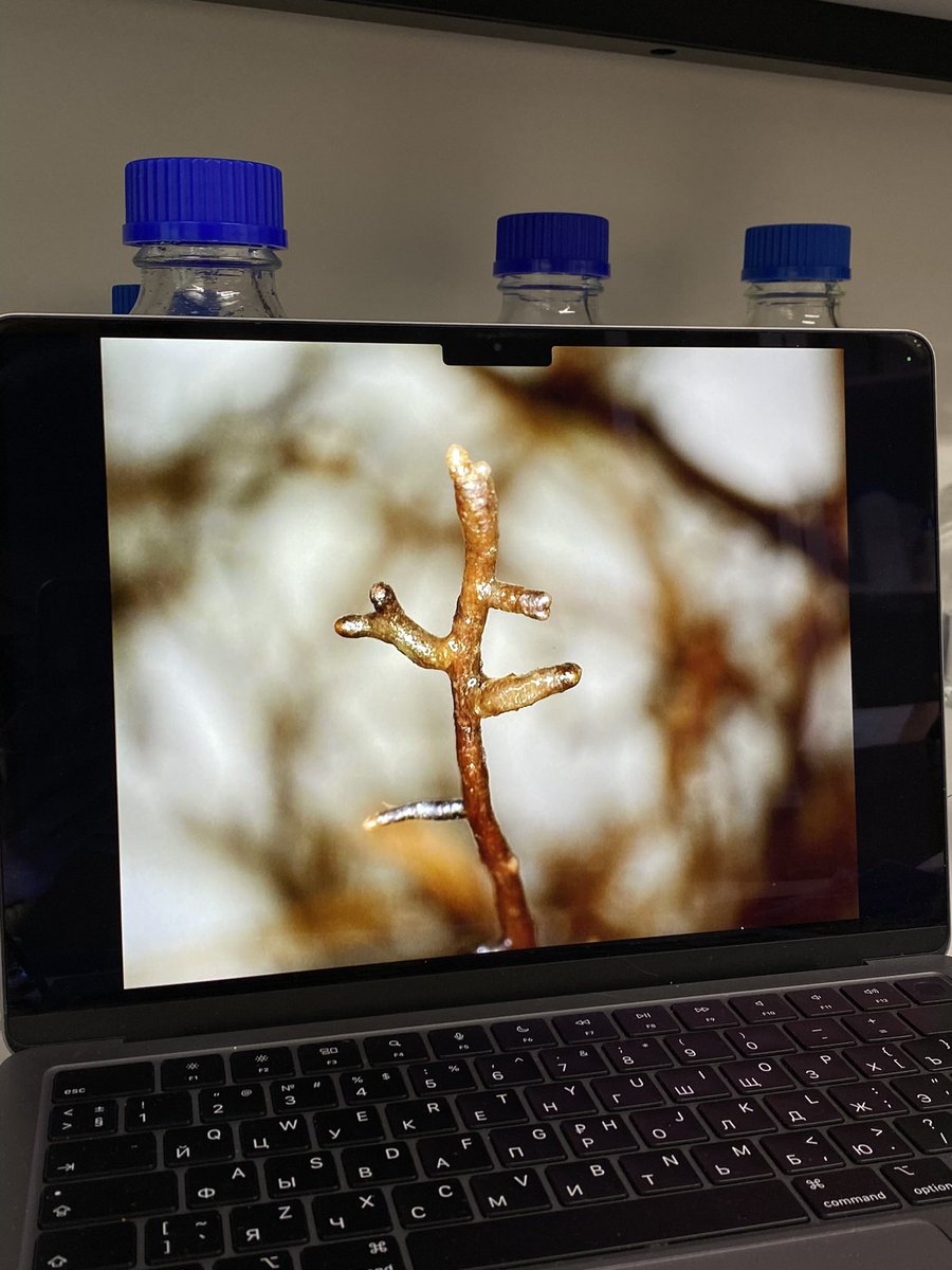 Anastasia Tõnisson tweet media