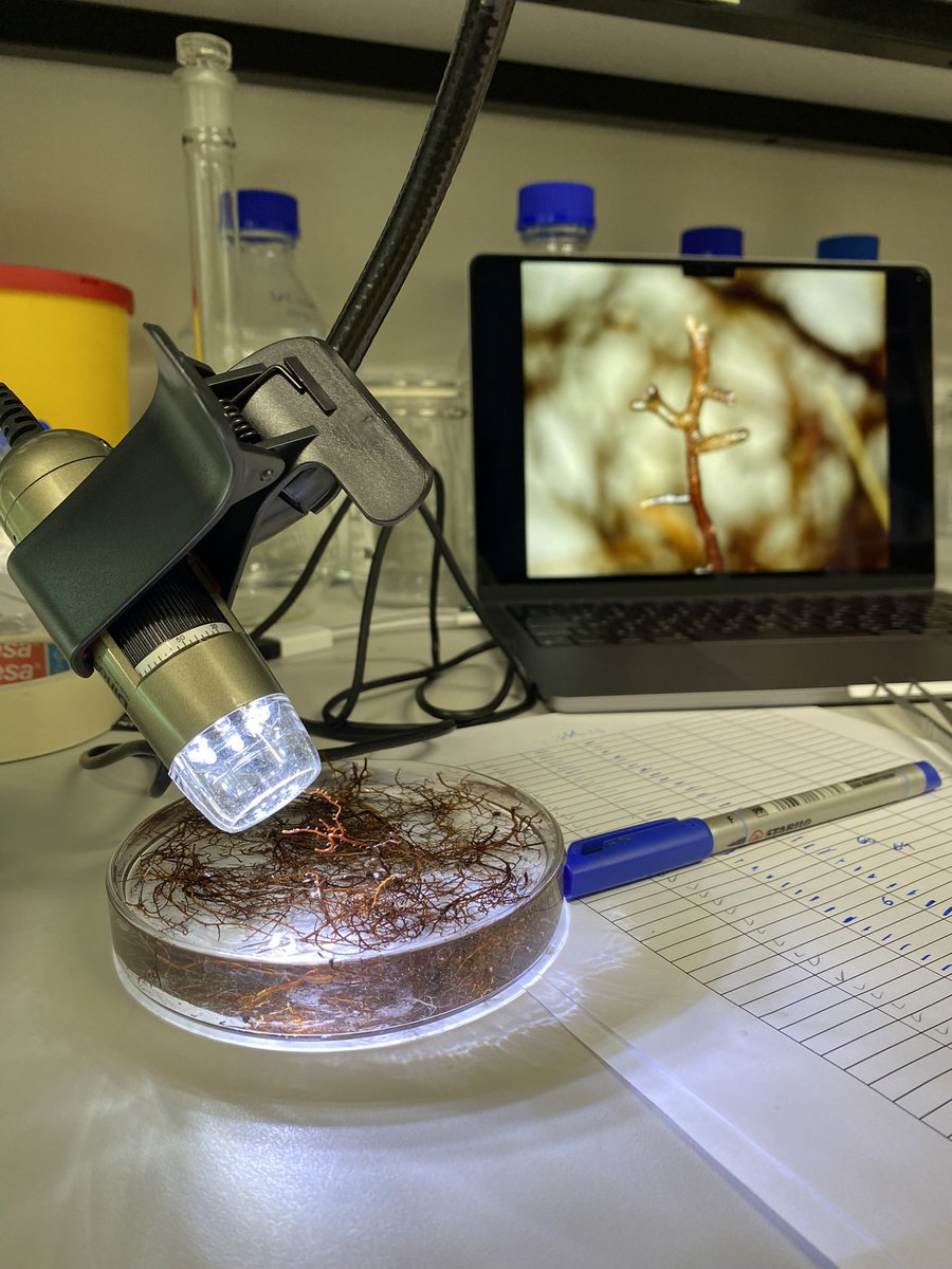 Anastasia Tõnisson tweet media