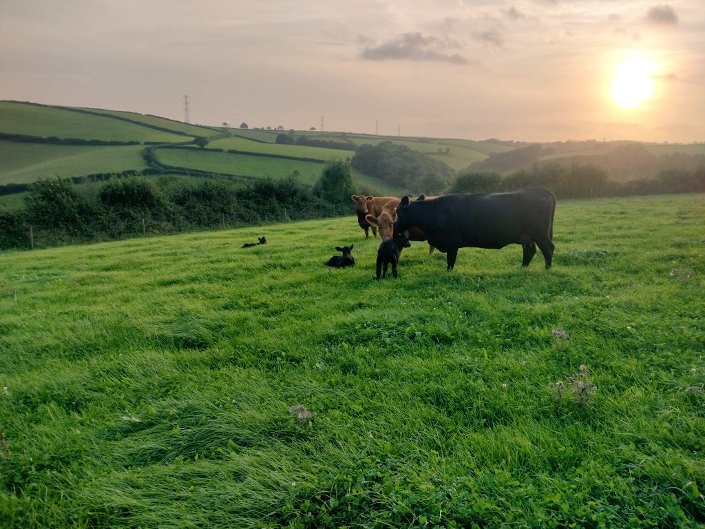 Rob Halliday tweet media