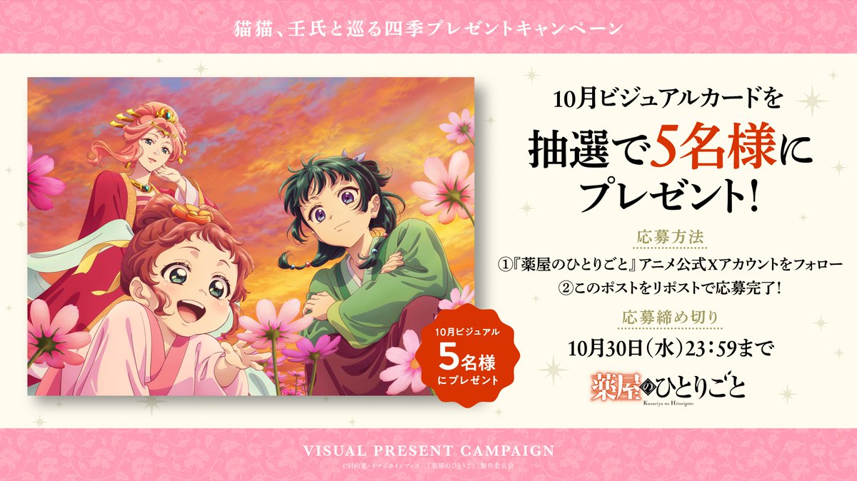 猫猫、壬氏と巡る四季🐈 プレゼントキャンペーン！🎁 ＼ コスモス畑へ