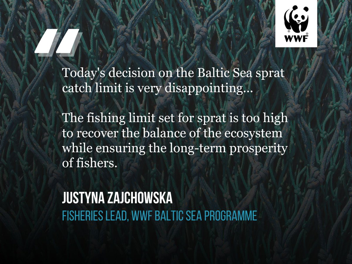 WWFBaltic's tweet image. 🚨#BREAKING: EU fisheries ministers push #BalticSea ecosystem closer to collapse 🐟

Read our joint statement🔗wwfbaltic.org/newsroom/fishe…
